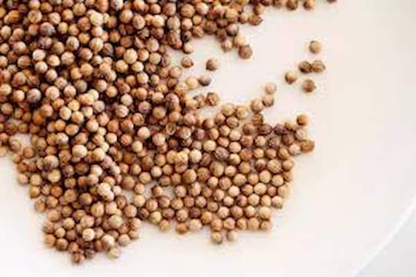 تصویر 3 از قیمت گشنیز پودر شده با کیفیت ارزان + خرید عمده